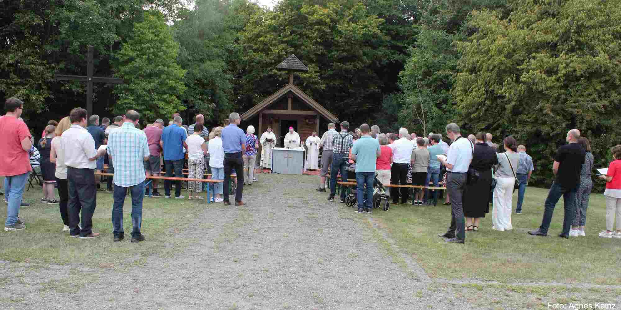 bischof wald 2025 bild 2